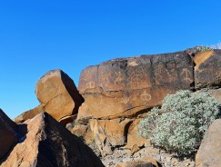 Rock Art at Quail Point within the proposed Great Bend of the Gila National Monument