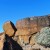Rock Art at Quail Point