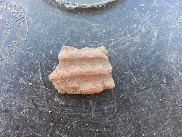 Sherd from Long Ago