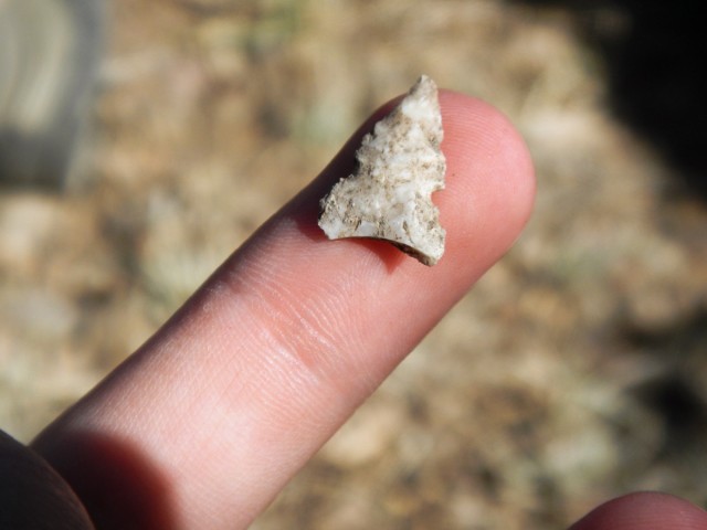 A chert projectile point we pulled from our screens. We found obsidian points, as well.