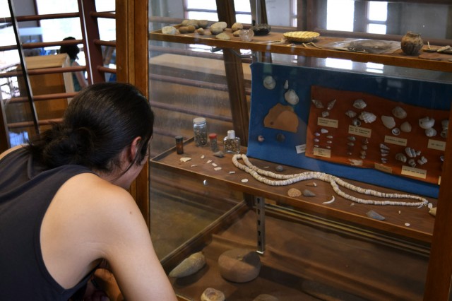 Chris examines shell artifacts on display at the Eastern Arizona College Discovery Park Museum. Photo by Hannah Zanotto.