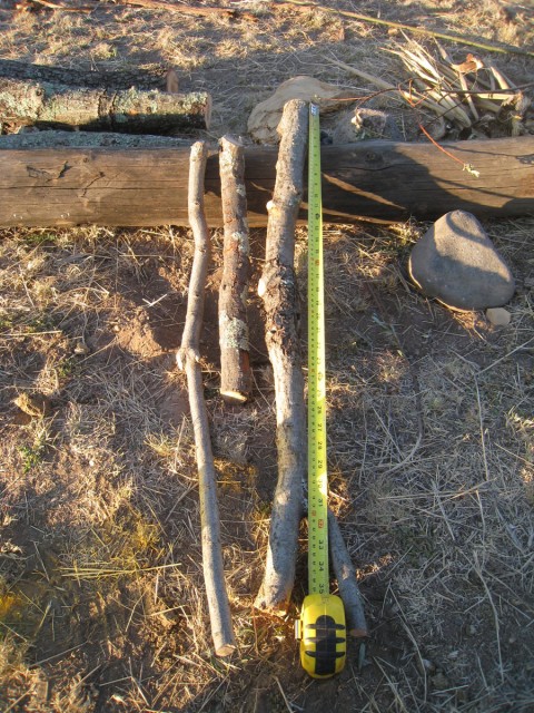 The three digging sticks used to dig the initial trenches for the adobe walls, prior to shaping. Photo by Allen Denoyer.