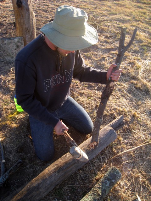 Andrew shapes one of the digging sticks using a traditional stone axe. Photo by Allen Denoyer.