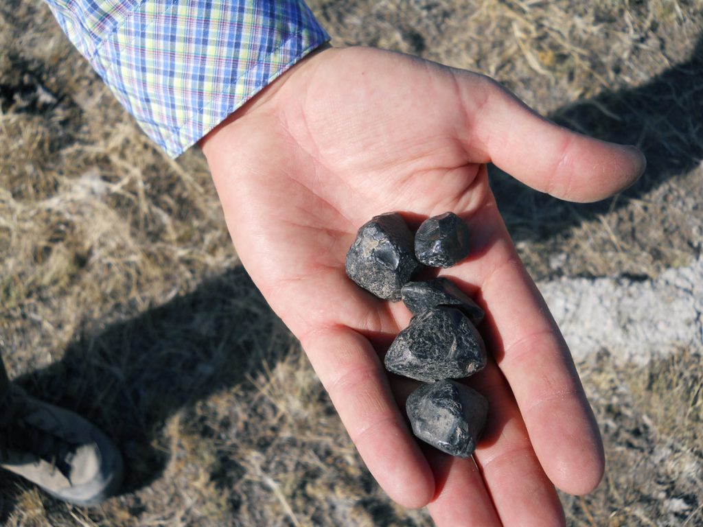Obsidian nodules at the Mule Creek/Antelope Creek source area.