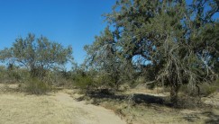 Landscape at the Marana Mound Complex