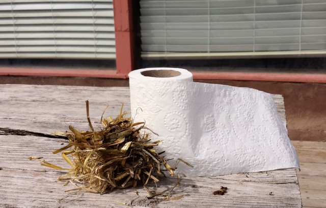 Modern toilet paper contrasted with straw (standing in for juniper bark).