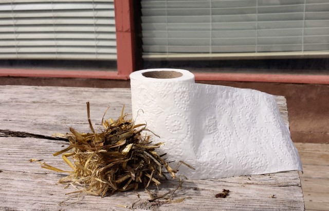 Modern Toilet Paper and Straw