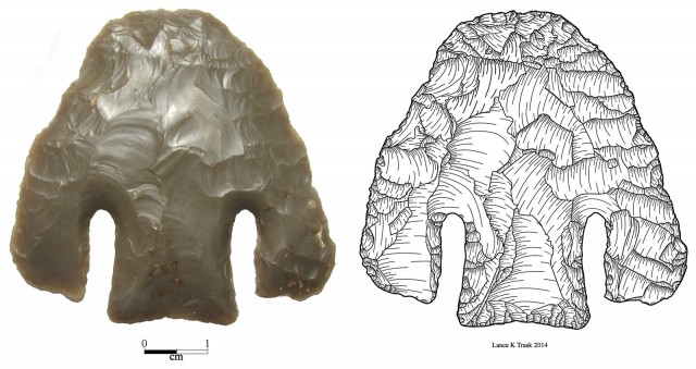 Andice Point: Photo vs. Illustration