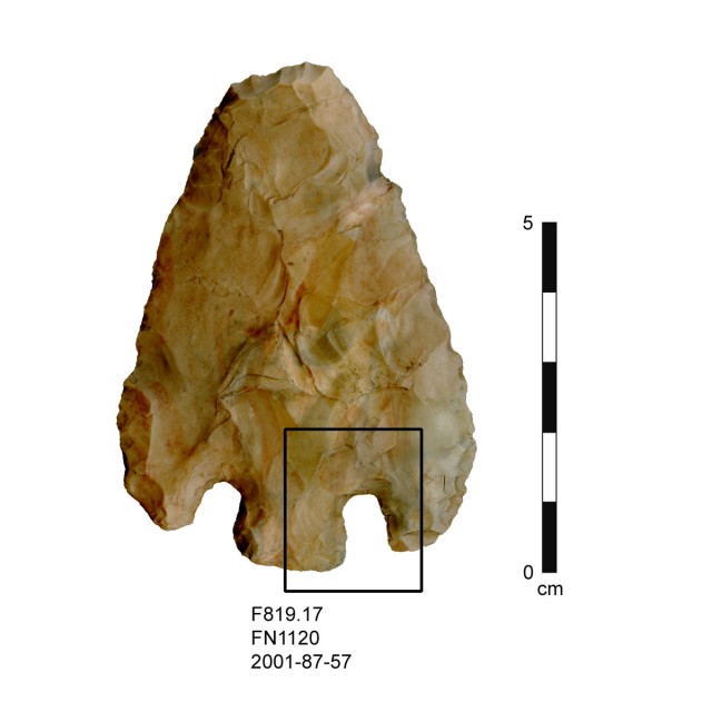 Projectile point at scale