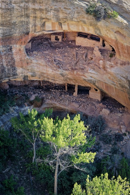 Pueblo III Period Cliff Dwellings