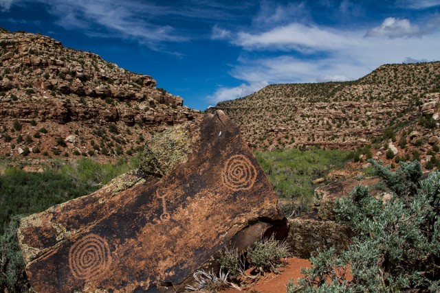 Petroglyphs at Cedar Mesa