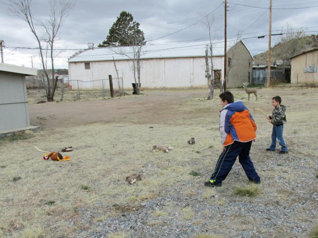 Kids use rabbit sticks to knock out a garden-raiding turkey.