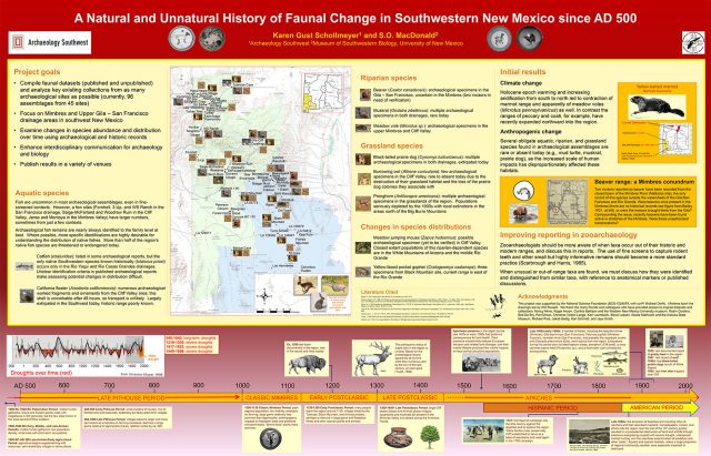 “A Natural and Unnatural History of Faunal Change in Southwestern New Mexico since AD 500,” by Karen Gust Schollmeyer and S.O. MacDonald. View image credits <a href="/pdf/Image-credits-for-Schollmeyer-and-MacDonald 2017.pdf">here.</a> Click to download as a PDF <a href="/pdf/Schollmeyer-MacDonald-SAA-2017.pdf">here.</a>