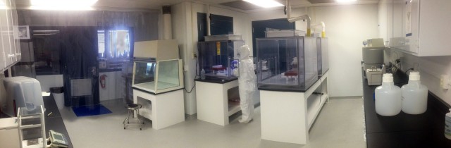 Isotope laboratory space at MURR