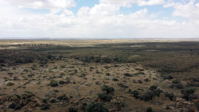 Looking south from Pierre’s. Note the oil well just off to the right in the distance. Photo by Paul Reed. Click to enlarge.