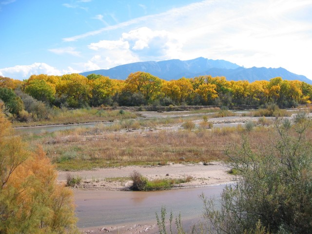 Rio Grande by Coronado State Park