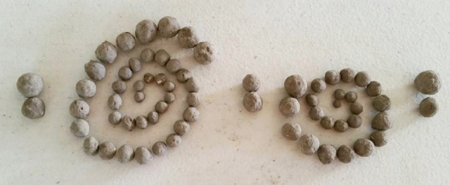 Clay Balls