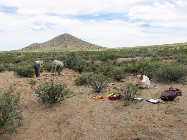 Mapping a site on survey using the tape-and-compass method. Photo by Barry Steinbrecher.