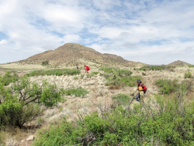 Looking for new archaeological sites in the rolling grasslands of the Burro Mountains. Photo by Barry Steinbrecher.