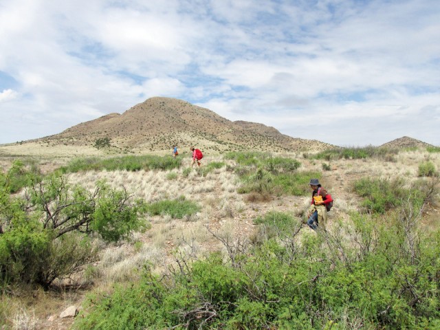 Burro Mountain Survey