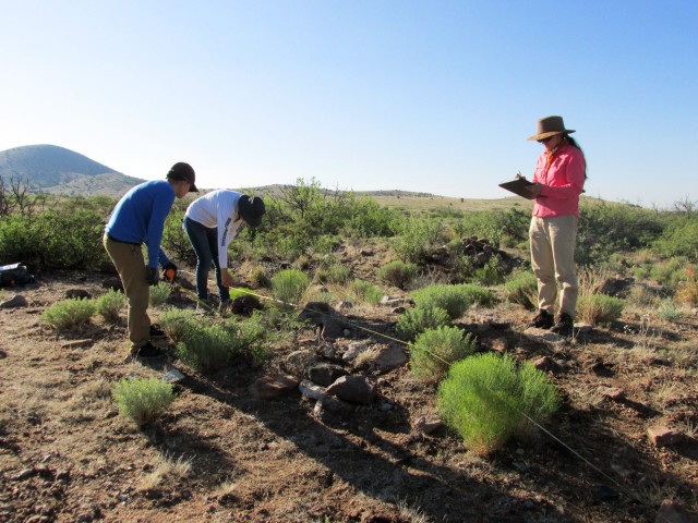 Diana, Alex F., and Victoria recording a site. June 9, 2015.