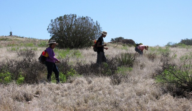 Walking a Transect