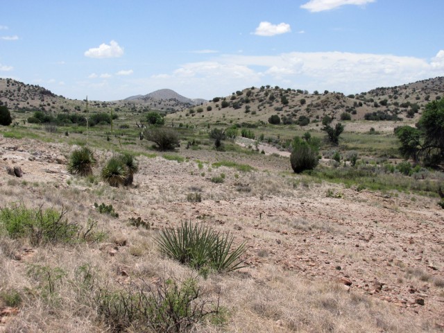 Burro Cienaga landscape, June 2015.