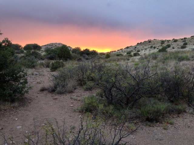 Desert Sunset