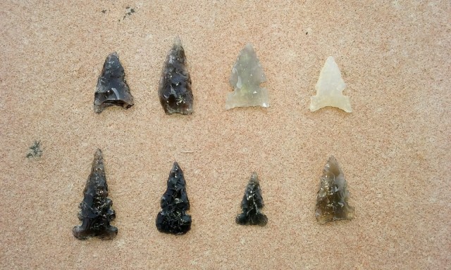 Projectile points found during the 2015 field school season. Photo by Stacy Ryan.<br />