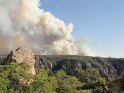 Chiricahua Fire