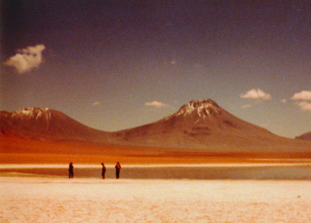 Survey in northern Chile, 1983.