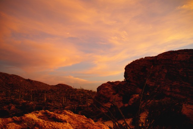 Saguaro East Sunset