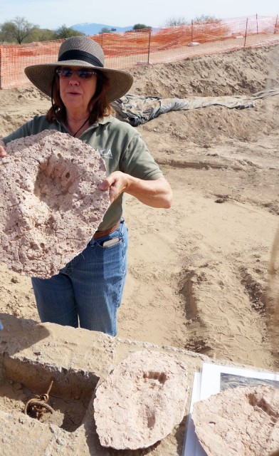 SWCA archaeologist Dr. Suzanne Griset displaying plaster casts of the footprints made at the site.
