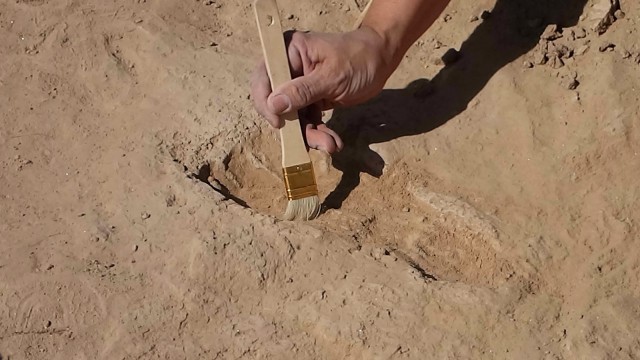 Dusting off an ancient footprint at the Sunset Road site.