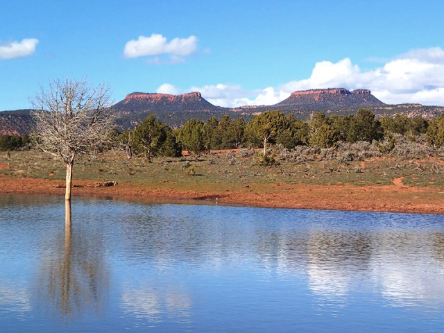 Bears Ears