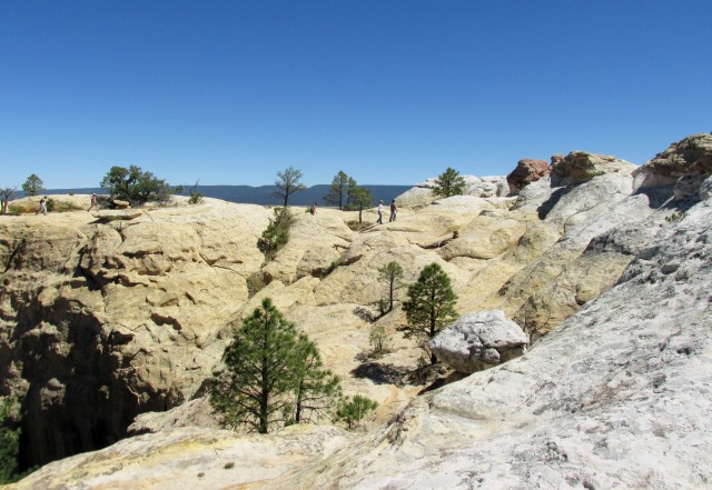 Top of El Morro National Monument. Photo by Karen Schollmeyer.
