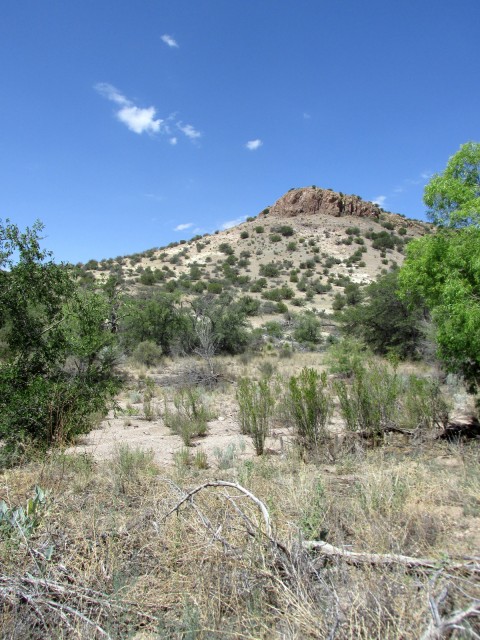 Flood plain of Burro Cienega and a mesa top south of Silver City, NM, demonstrates the varied geography in the U.S. Southwest. Photo by Evan Giomi.