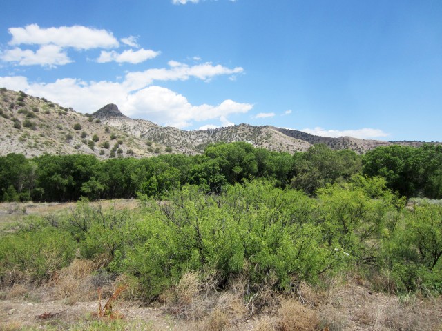 In the Gila Floodplain