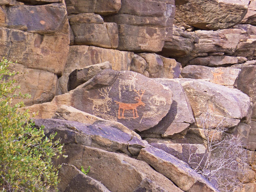 Perry Mesa Petroglyph