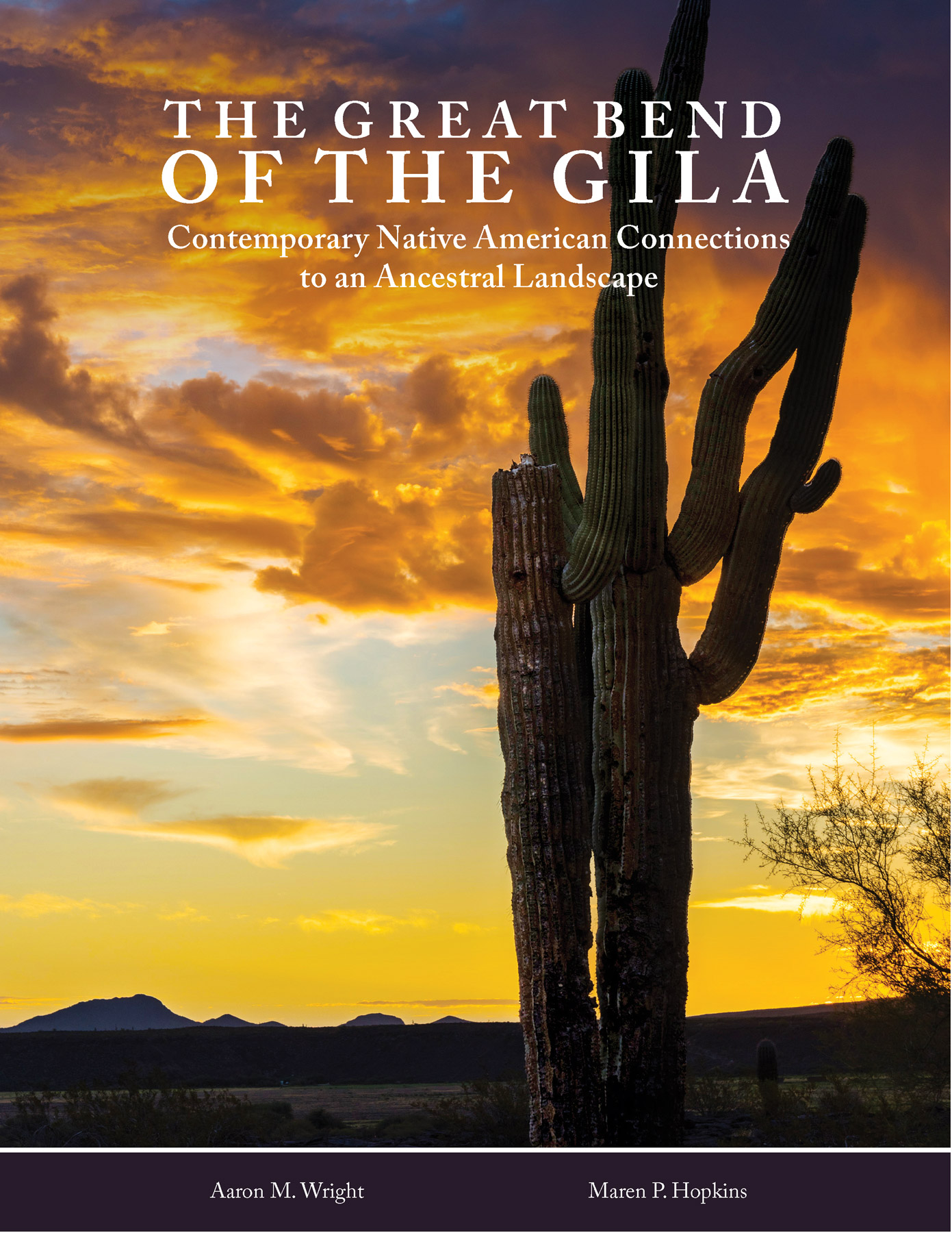 Great Bend of the Gila Report Cover