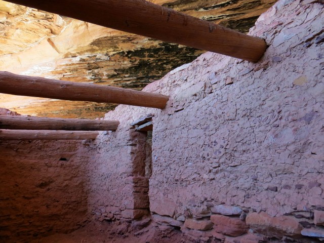 Cedar Mesa Archaeology