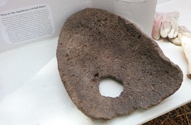 Metate with hole, on display at our Archaeology Fair in Cliff, New Mexico.