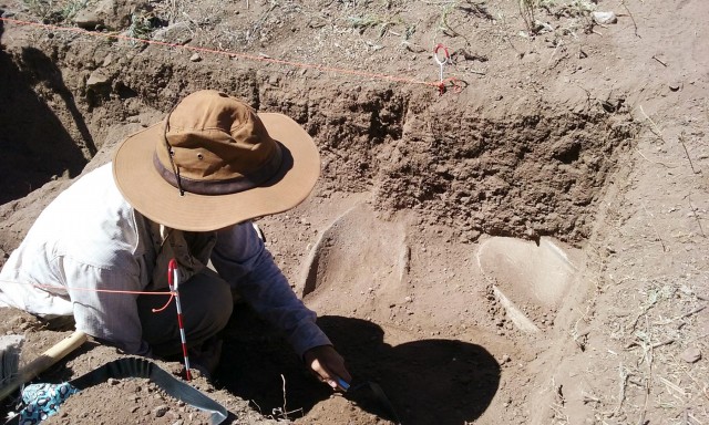Peter uncovering metates in southeastern corner of room.