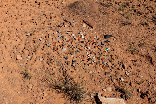 Section of an undisturbed trash midden with tchamahia fragments at an unnamed site in an unnamed canyon of the proposed Bears Ears National Monument. Image: Ben Bellorado
