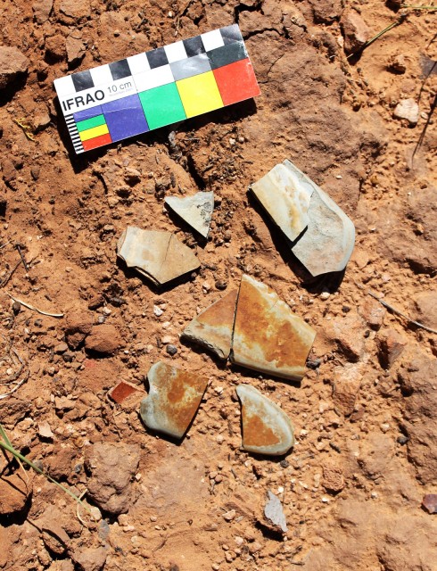 Fragments of the tchamahia resting on the surface of the midden. Note the blue-green color and finely ground surfaces.