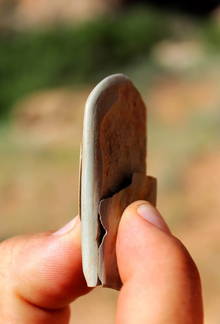 Fragments of the tchamahia. Note the beveled surfaces of the “bit” at the top of the photo. Image: Ben Bellorado