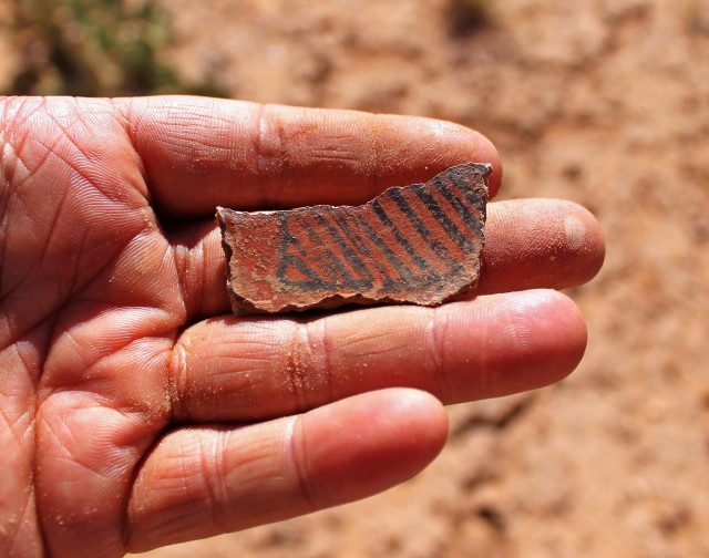 Example of a Deadman’s Black-on-red bowl sherd form the site. This late version with a fine-painted, straight-line hachure design, likely dates type dates roughly between A.D. 1000 and 1075.
