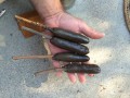 Pitch Sticks