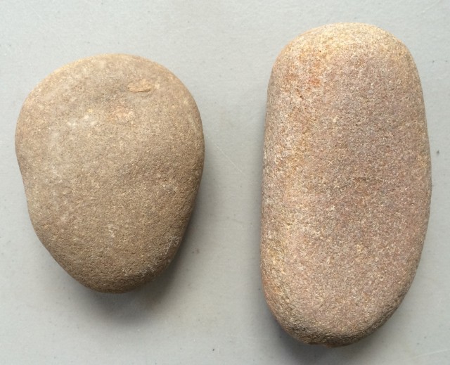 Two sandstone cobbles out of the Santa Cruz River bed