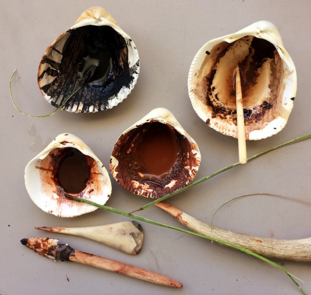Some of the shells with the paint mixed in them.